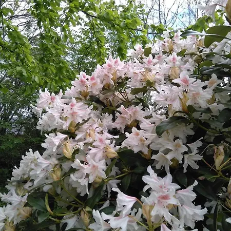 Scenic Pool House Retreat - By Traum